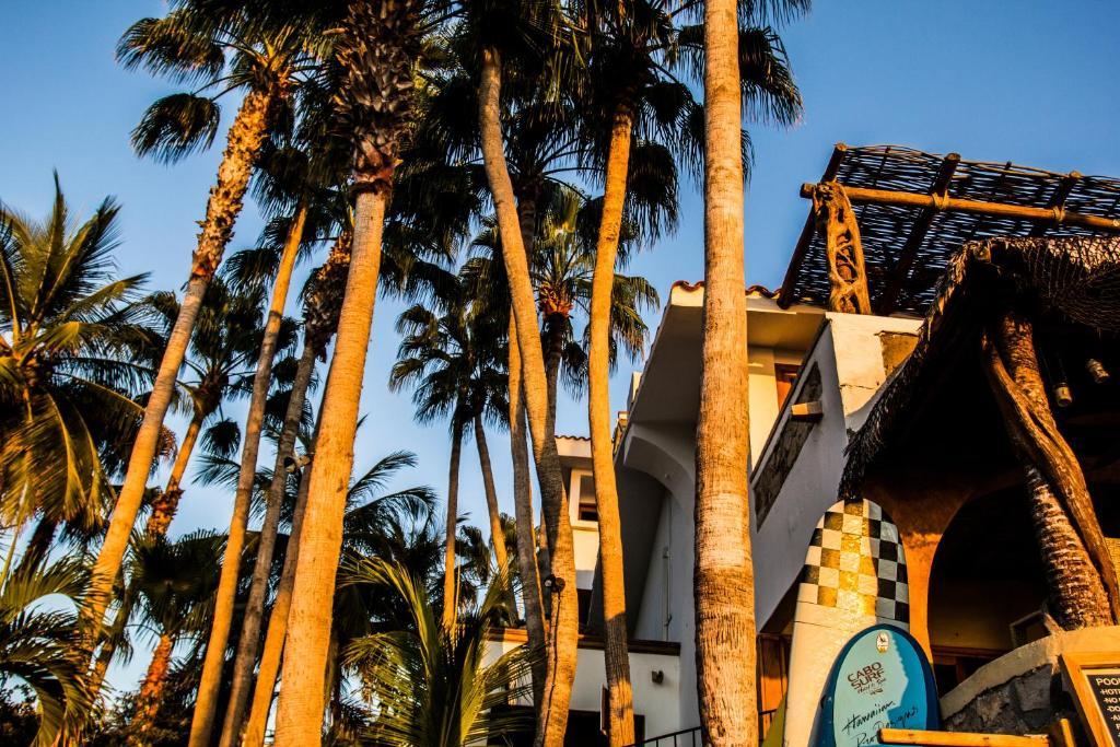 Cabo Surf Hotel San José del Cabo Dış mekan fotoğraf